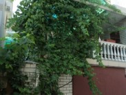 Внешний вид гостиницы