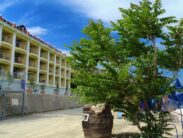 Автобусом к морю из Тулы в Крым Алушта Частная гостиница ЛЕГЕНДА территория