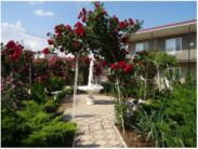 Автобусные туры к морю из Тулы в Крым Саки гостевой дом ЗЕЛЕНЫЙ ДВОРИК территория